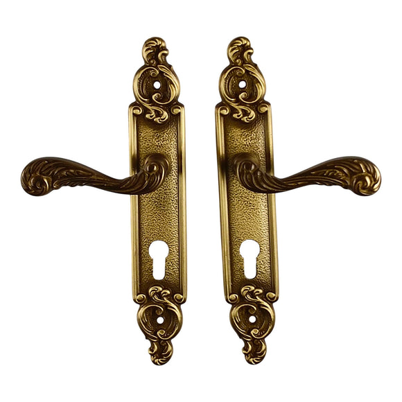 2 poignées de porte sur plaque SULLY, Trou de cylindre - entrée - bureau - service, Finition laiton patiné aspect vieilli, Entraxe standard 195 mm