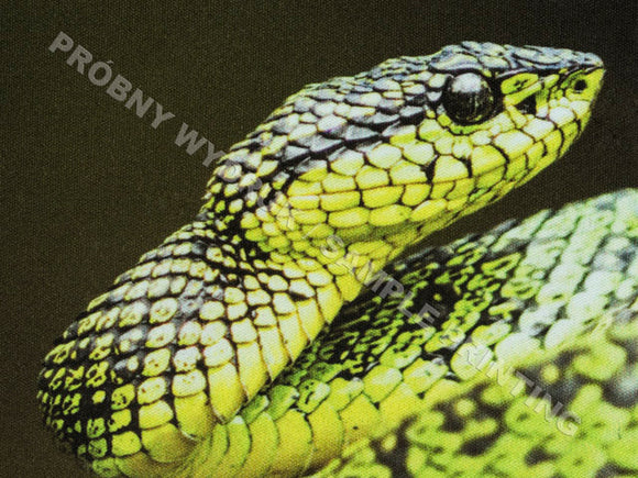 Tapis de souris imprimable blanc 220x180