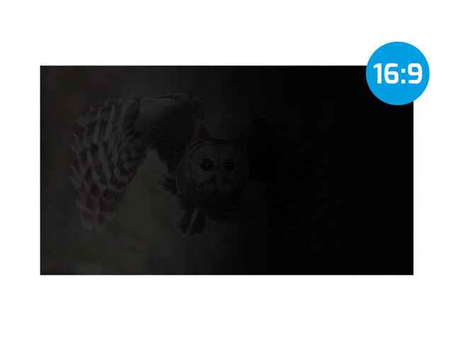 Filtre de confidentialité pour écran NATEC Owl Frameless 39,6 cm (15,6")
