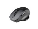 Natec Genesis Blackbird 2 mouse RF Wireless Optical 1600 DPI