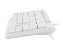 Natec | Keyboard | Nautilus NKL-1951 | Keyboard | Wired | US | White | USB Type-A | 390 g