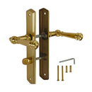 2 poignées de porte ATTILA, Verrou de condamnation pour salles de bain/WC, Finition laiton poli doré, Entraxe standard 195 mm