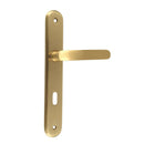 2 poignées de porte sur plaque VINTAGE, Entrée de clé pour chambre, Finition laiton doré satiné, Entraxe stand 195 mm