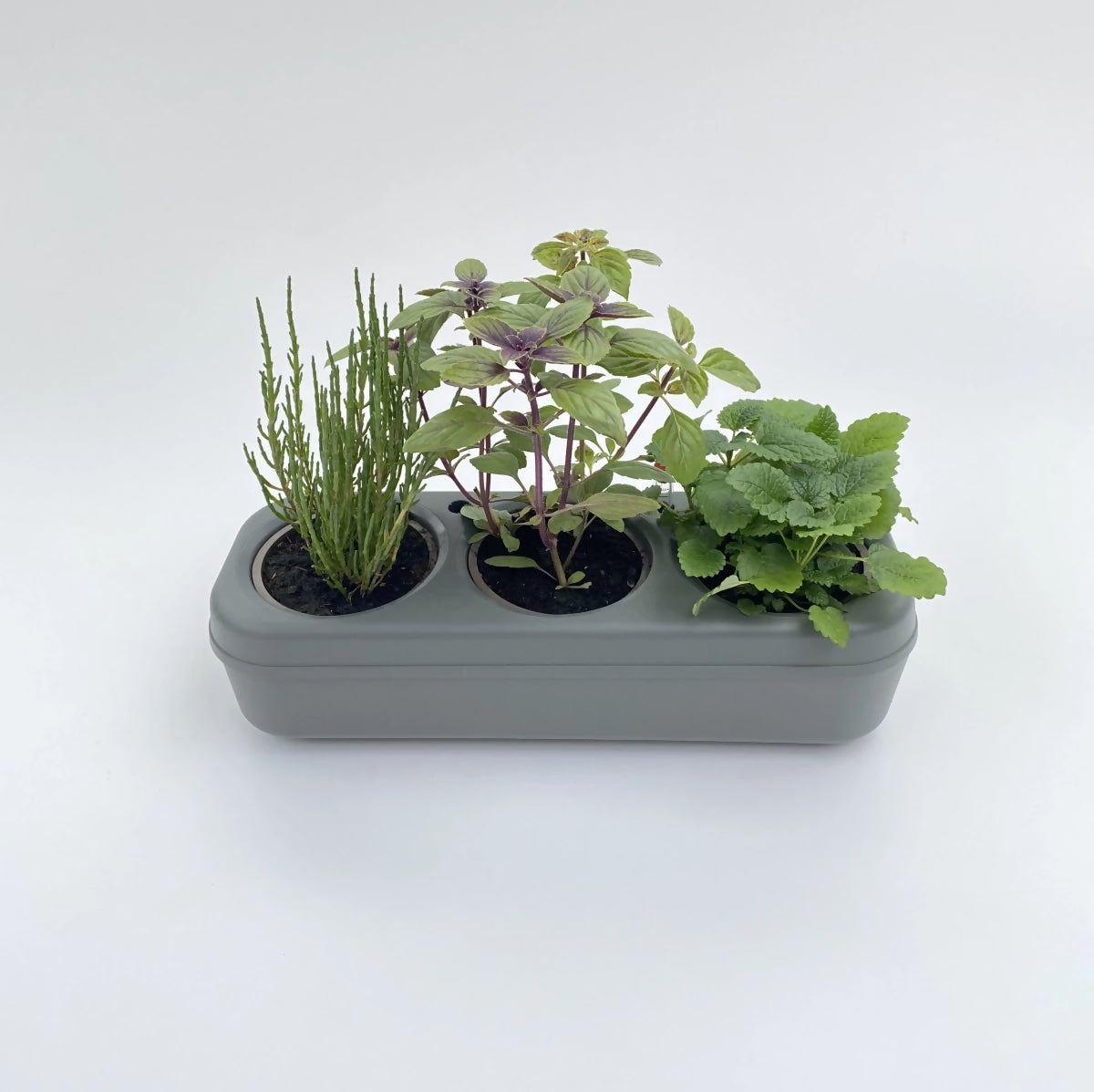 Triple semi-hydroponic urban vegetable garden kit - Gray 