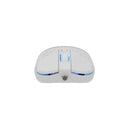 Pack souris et tapis de souris white shark gmp-2201 megalodon