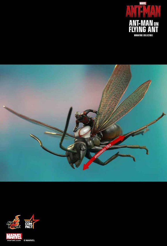 Figurine Hot Toys MMSC003 - Marvel Comics - Ant-Man - Ant-Man On Flying Ant