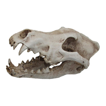 iPetz Ornament Wolf Skull (12x14x14cm)