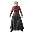 Star Wars The Black Series Action Figure-7