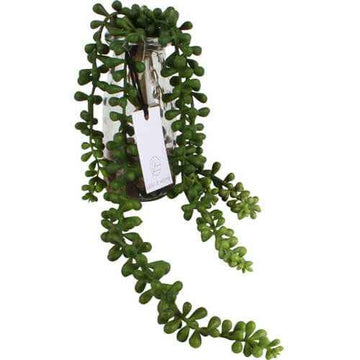 Vino Glass Vine Droppers 50cm