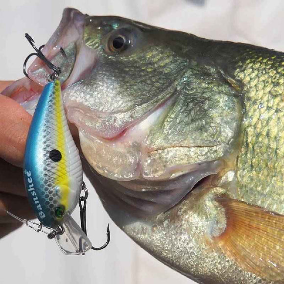 Vobleris Banshee Crankbait 60mm 12g VC03 Chartreuse Shad, Plūdrus