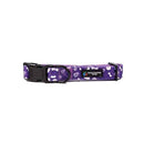 BBL Hobart Hurricanes Dog Collar