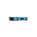 BBL Adelaide Strikers Dog Collar