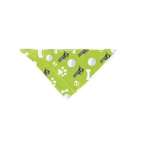 BBL Sydney Thunder Dog Bandana