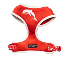 NRL Dolphins Pet Harness-7