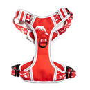 NRL Dolphins Pet Harness-4