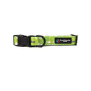 BBL Sydney Thunder Dog Collar-3