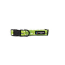 BBL Sydney Thunder Dog Collar-4