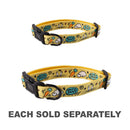Looney Tunes Dog Collar-1