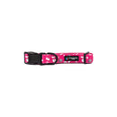 BBL Sydney Sixers Dog Collar-2