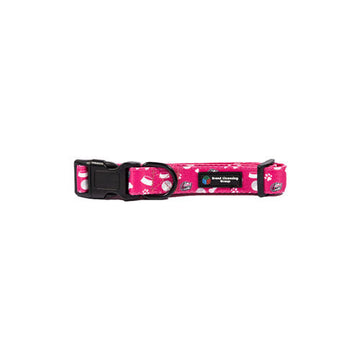 BBL Sydney Sixers Dog Collar - 0