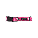 BBL Sydney Sixers Dog Collar-3