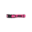 BBL Sydney Sixers Dog Collar-5
