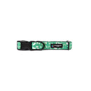 BBL Melbourne Stars Dog Collar-2
