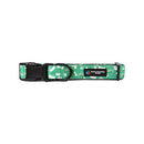 BBL Melbourne Stars Dog Collar-3