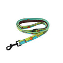 Warner Bros Pet Lead-9