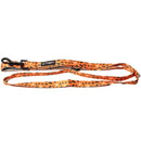 AFL Pet Lead-12