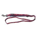 AFL Pet Lead