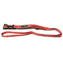 AFL Pet Lead-18