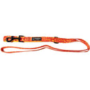 AFL Pet Lead-11