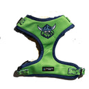 NRL Canberra Raiders Pet Harness-7