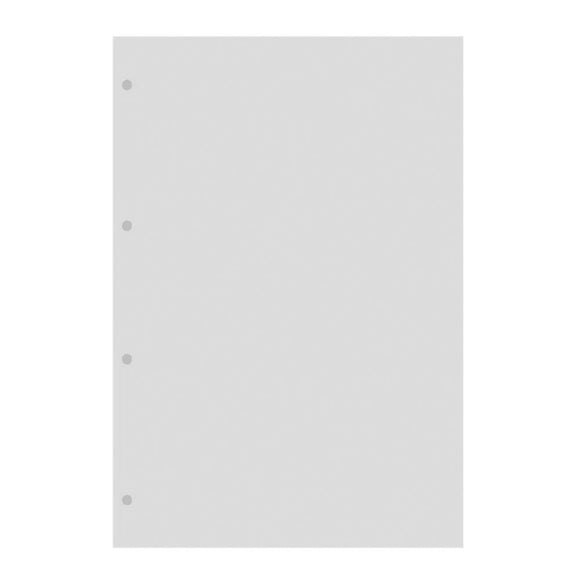 Filofax A4 Transparent Flyleaf with Tab