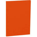 Semikolon Classic Lined A4 Book-9