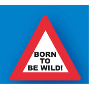 Born to be Wild PVC Sign Keyring