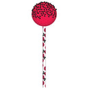 Cake Pop Sticks 15cm 24pk