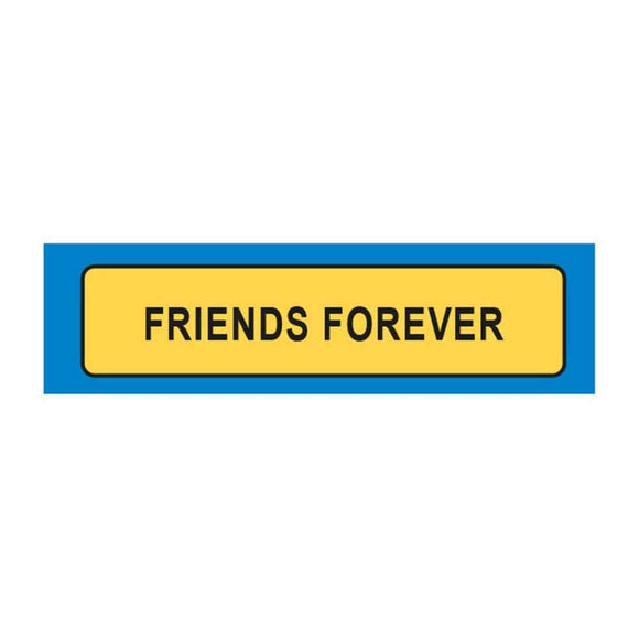 Friends Forever License Plate Keyring