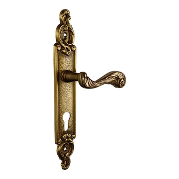 2 poignées de porte sur plaque SULLY, Trou de cylindre - entrée - bureau - service, Finition laiton patiné aspect vieilli, Entraxe standard 195 mm