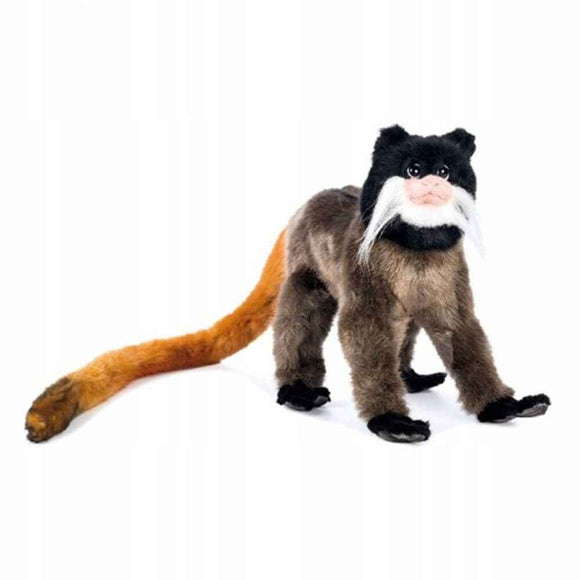 Tamarin Empereur Hansa (20cm)