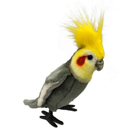 Hansa Grey Cockatiel (23cm)