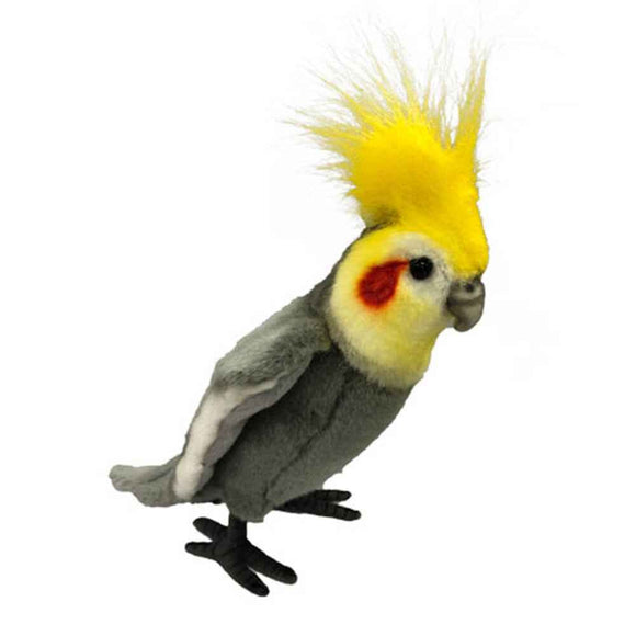 Hansa Grey Cockatiel (23cm)