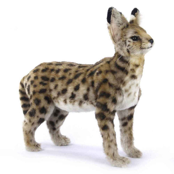 Hansa Standing African Serval Cat (48cm)