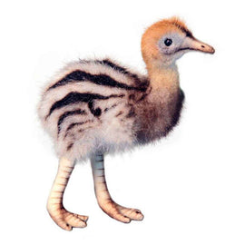 Hansa Cassowary Baby (16cm H)