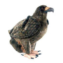 Hansa Golden Eagle