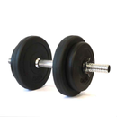 Haltère préfabriquée en ciment Tomaz Sport Start 10 kg Barre en acier