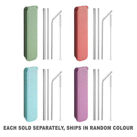 Appetito Stainless Steel Straw Set with Case (1pc Random)