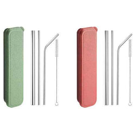 Appetito Stainless Steel Straw Set with Case (1pc Random)