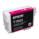 Epson 760 Ink Cartridge-9